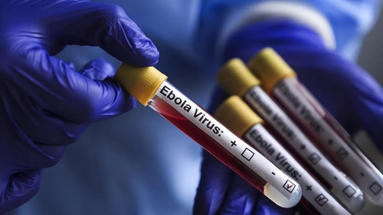 Ebola Salgınında Bilanço Ağırlaşıyor!