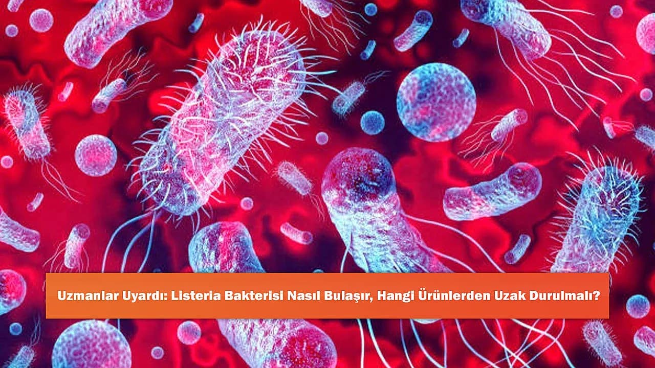Uzmanlar Uyardı: Listeria Bakterisi Nasıl Bulaşır, Hangi Ürünlerden Uzak Durulmalı?