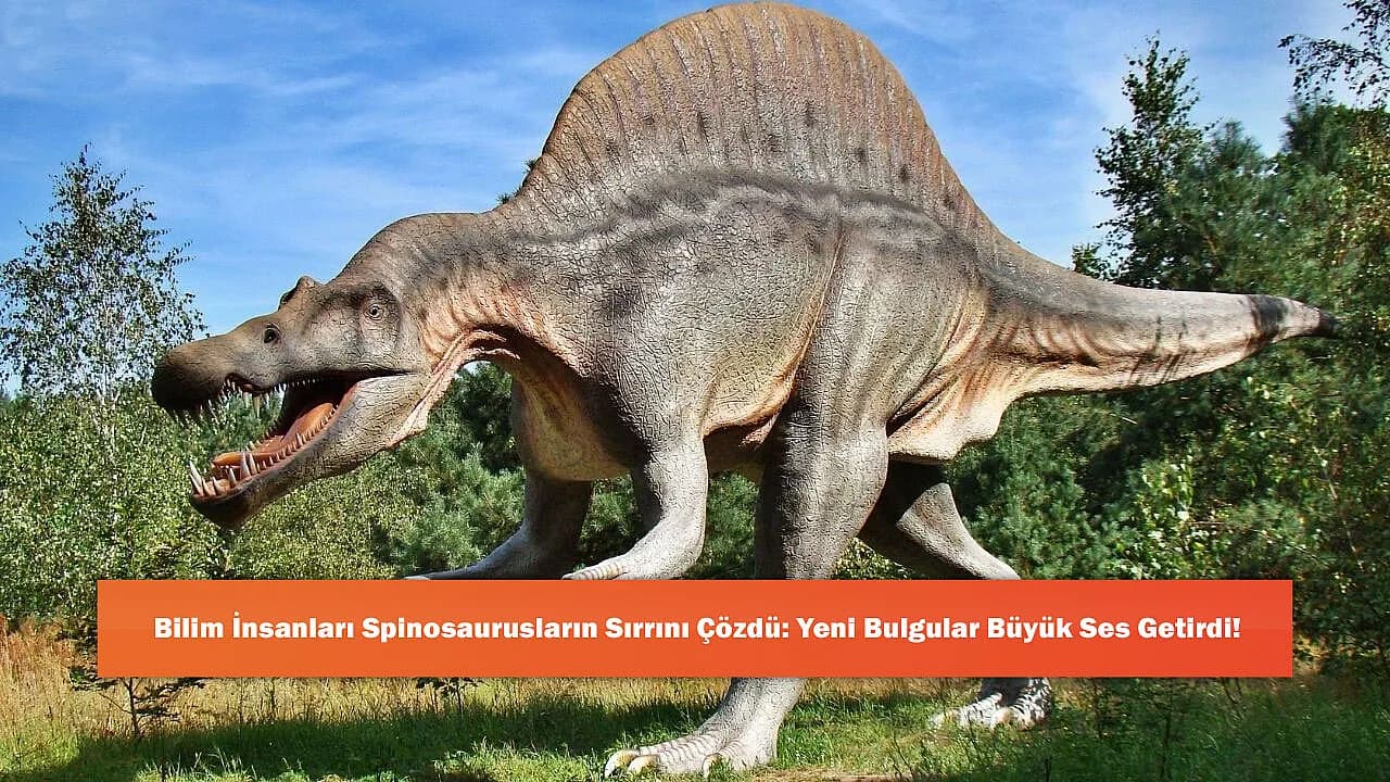 Bilim İnsanları Spinosaurusların Sırrını Çözdü: Yeni Bulgular Büyük Ses Getirdi!
